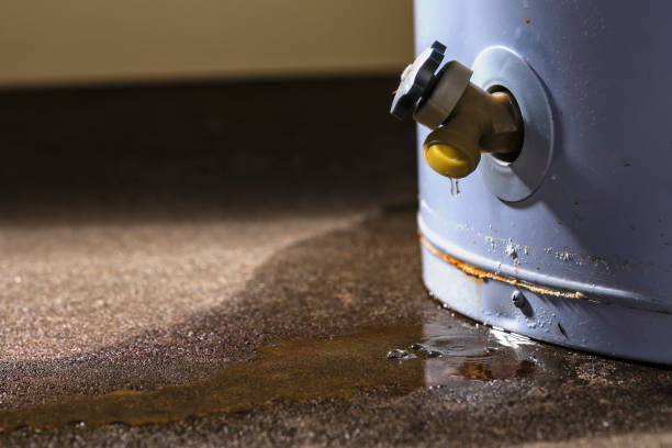  Golden Beach, MD Water damage restoration Pros