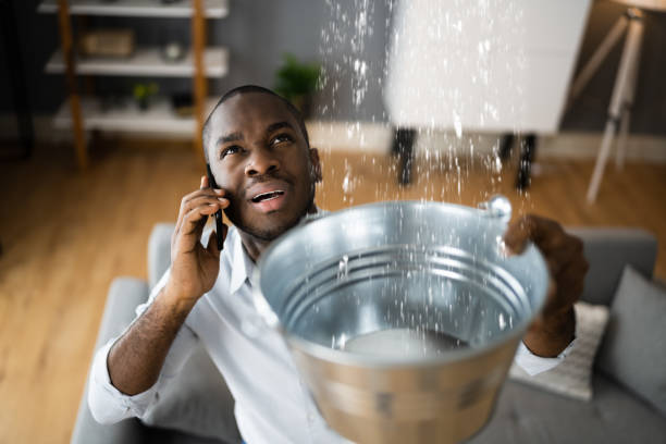 Best Residential water damage restoration  in Golden Beach, MD