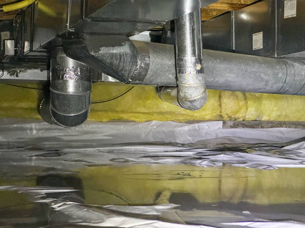 Best Sewage cleanup and water damage restoration  in Golden Beach, MD