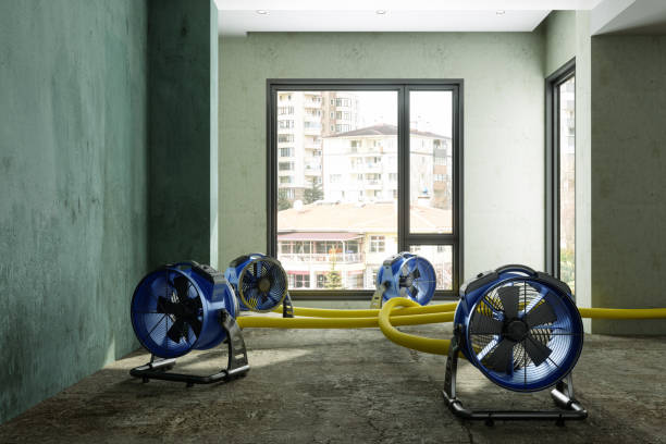 Best Water damage contractors near me  in Golden Beach, MD